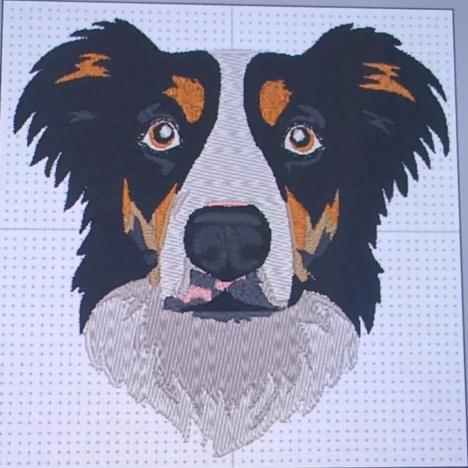 Klart for brodering av border collie