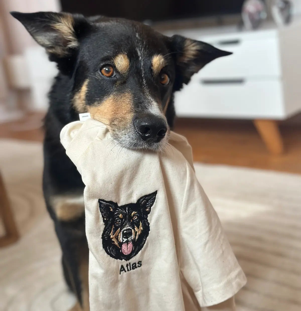 T-skjorte med hundebroderi av egen hund