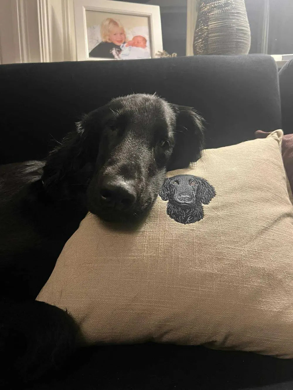 Pute med broderi av eget kjæledyr fra bilde