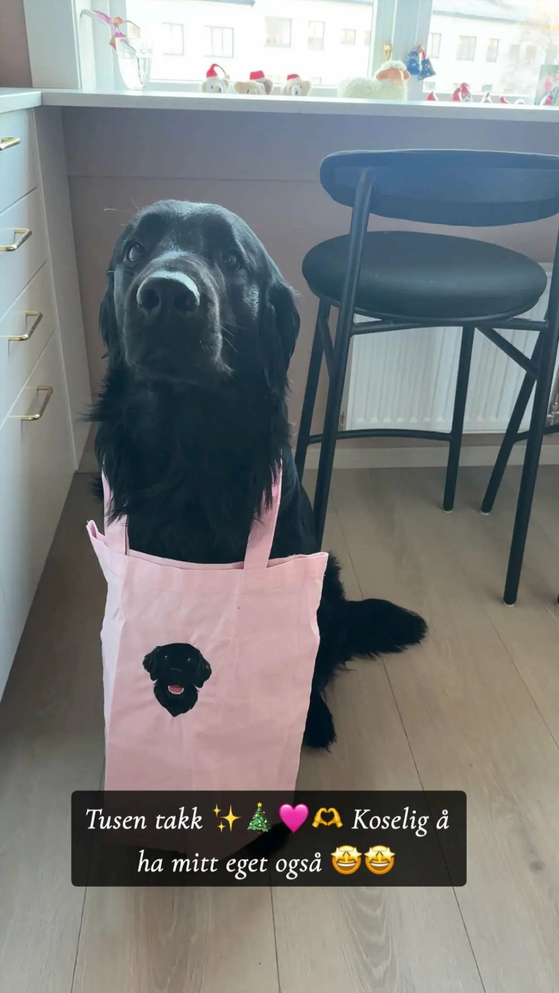 Bilde av hund med brodert portrett på handlenett