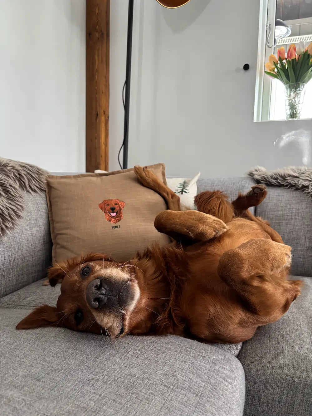 Pute med personlig hundebroderi av egen hund.