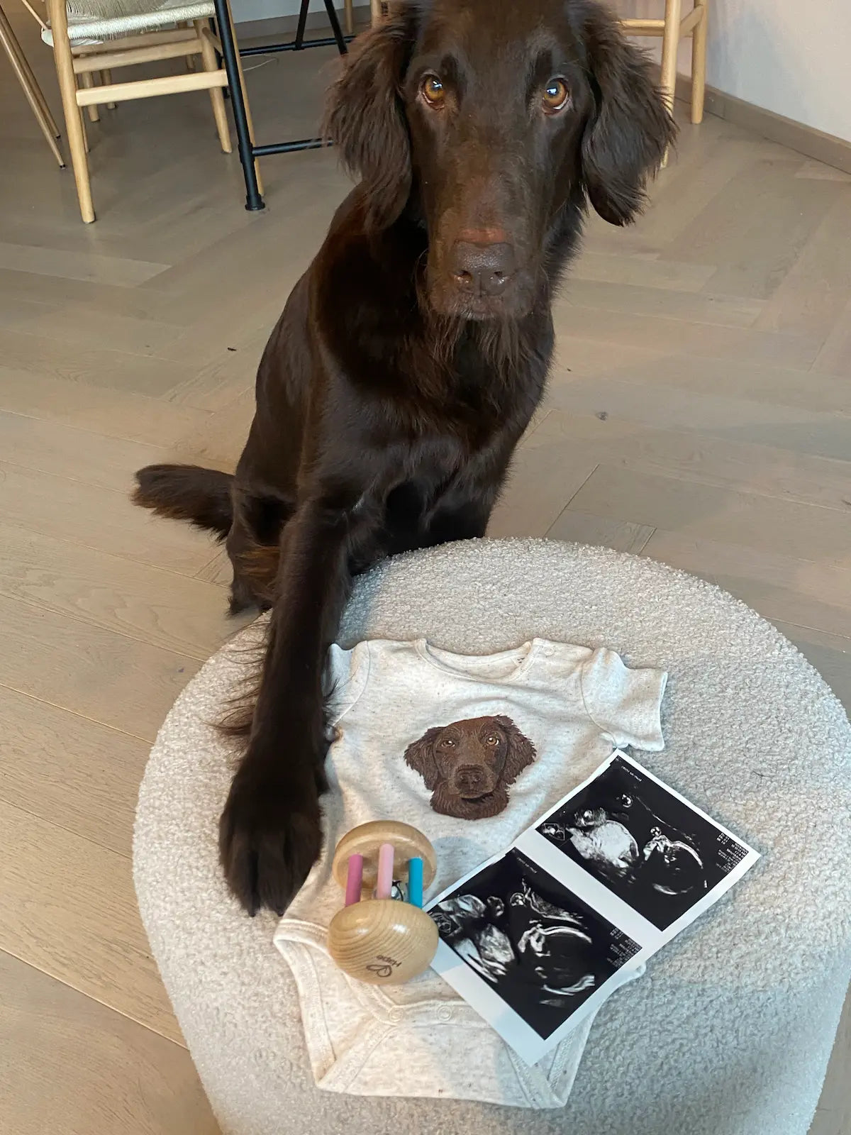 Hundebroderi av egen hund på body til baby 