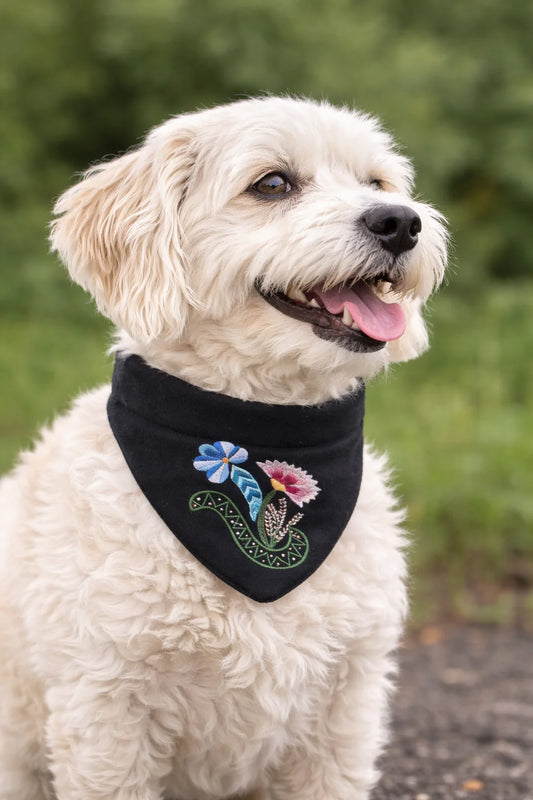 Bunadskjerf til hund