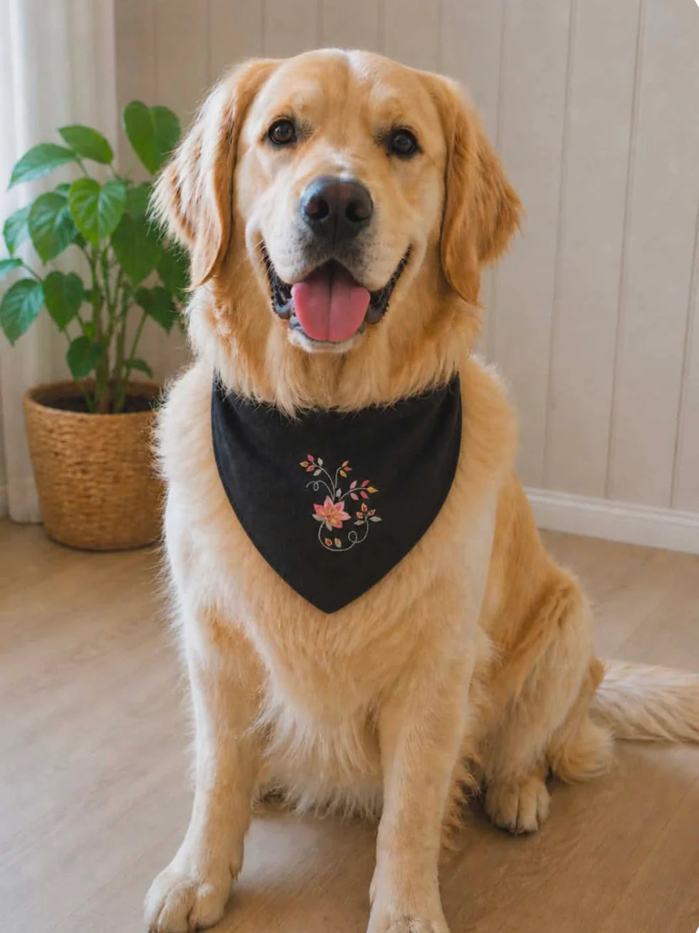 Bunadskjerf til hund
